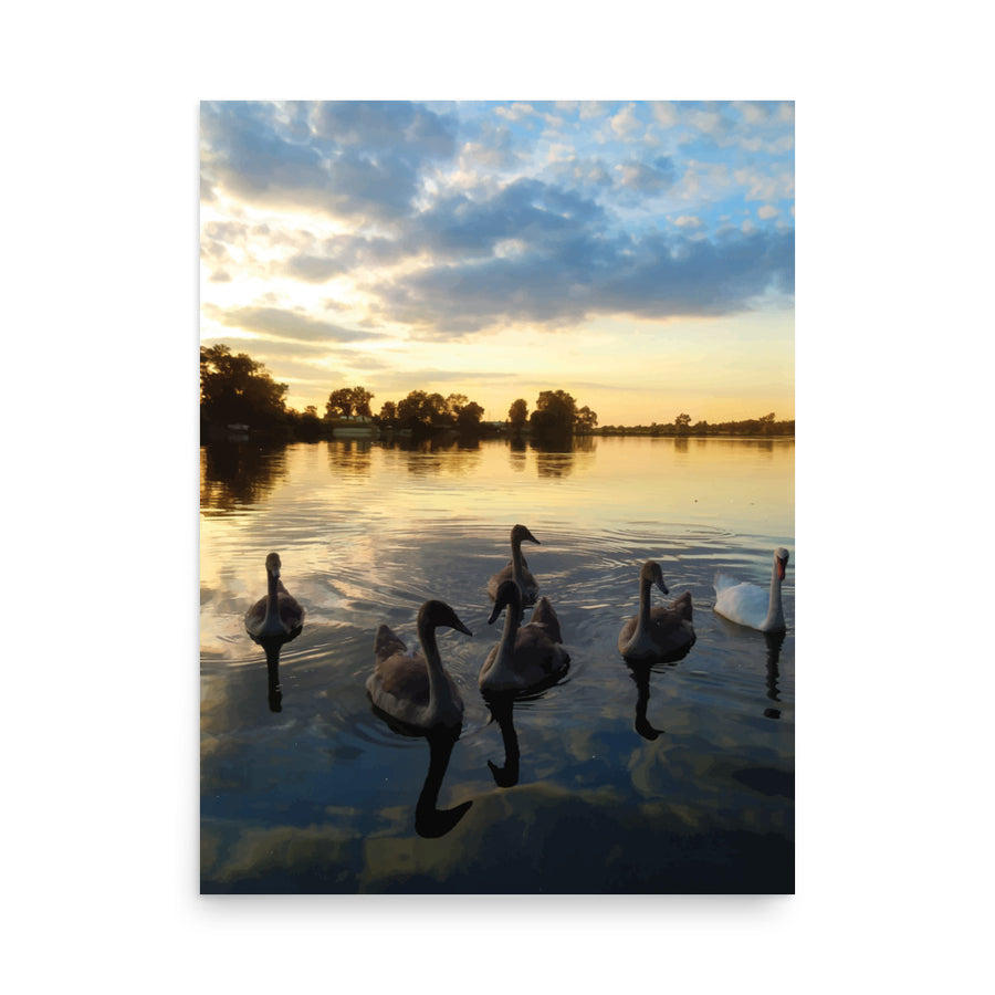 Nature Scenic Knob Geese Matte Poster