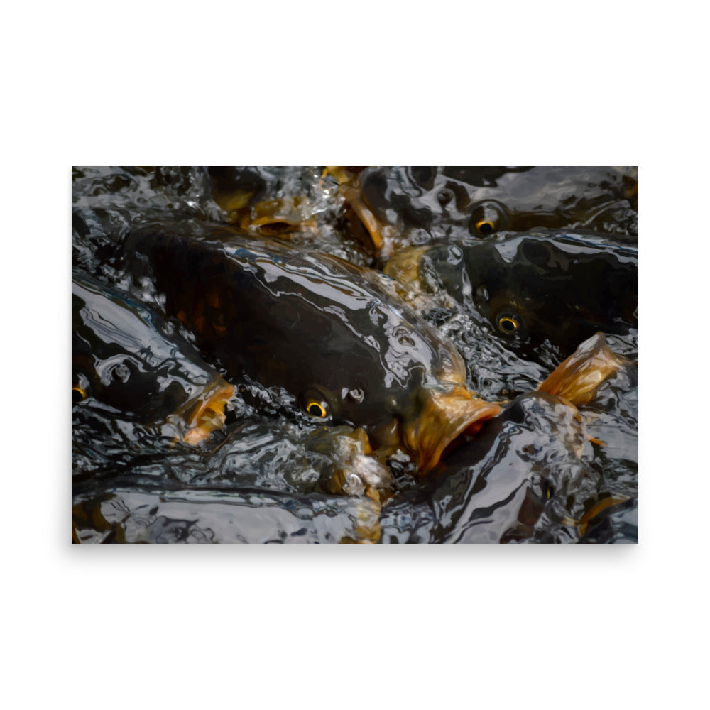 Nature Scenic Fish 3789 Matte Poster