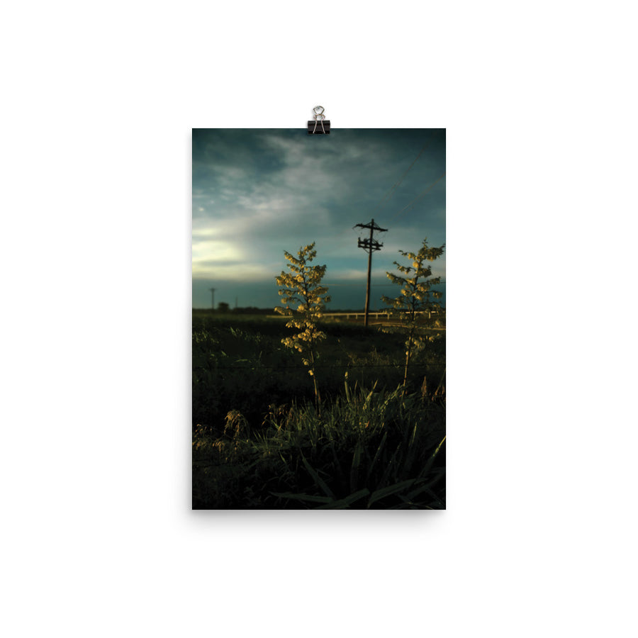 Nature Scenic Luster Poster 1108
