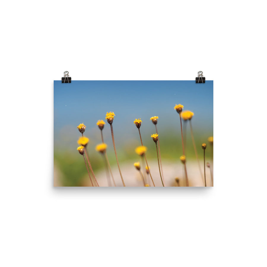 Nature Scenic Luster Poster 0291