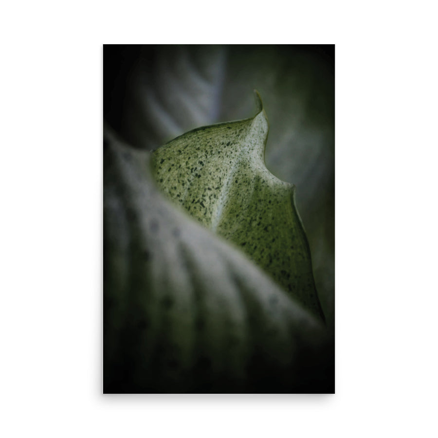 Nature Scenic 4048 Luster Poster