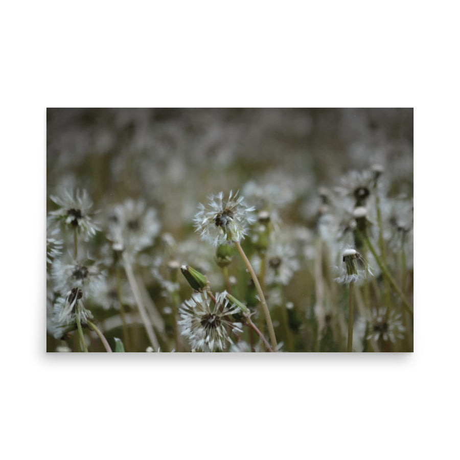 Nature Scenic 7055 Luster Poster