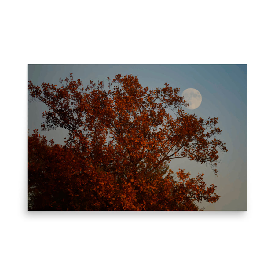 Nature Scenic 4753 Luster Poster
