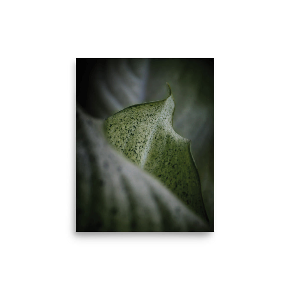 Nature Scenic 4048 Luster Poster